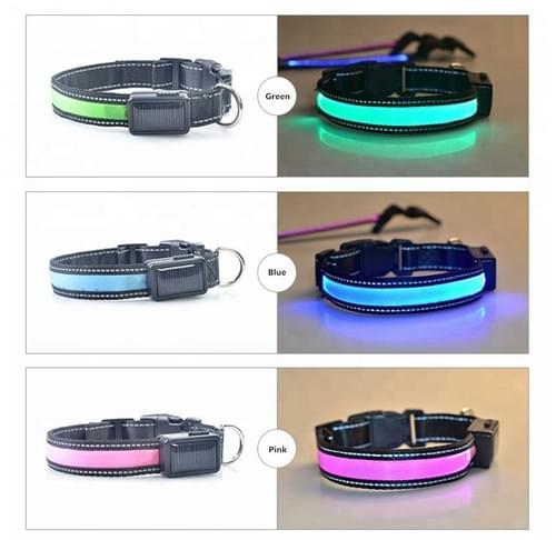 LED Dog Collar