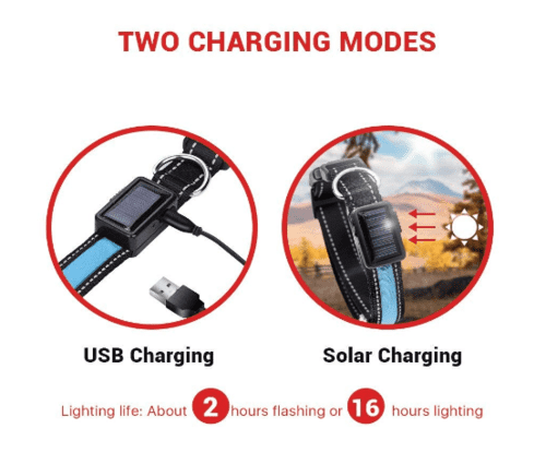 LED Dog Collar - Image 6