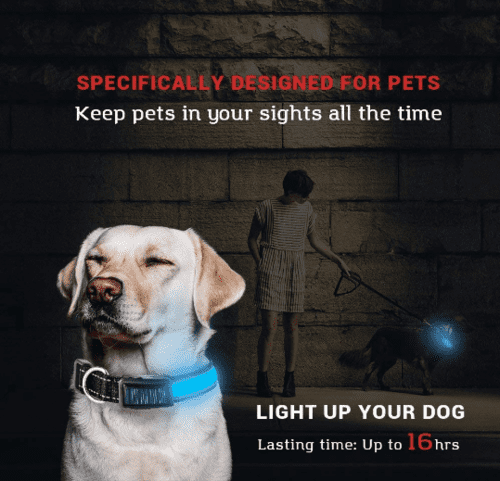 LED Dog Collar - Image 7