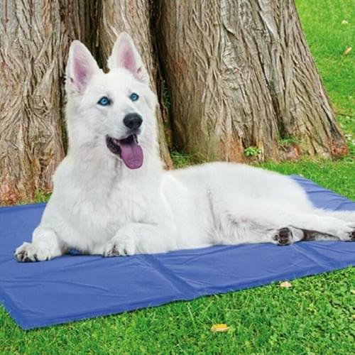 Summer Dog Cooling Mat - Image 6